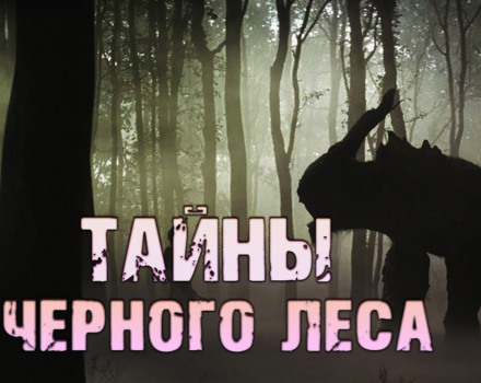 Тайны чёрного леса - Валерий Столяревский